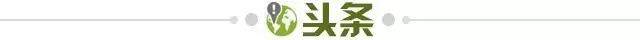 ded935c6-2645-4459-8609-05f12fe69479.jpg@!img01