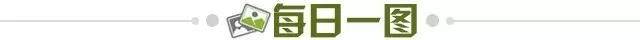 3a0be365-e4fa-4c3e-b1c6-8cb278a1e168.jpg@!img01